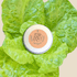Organic Tom Thumb Lettuce Seeds - Plantflix