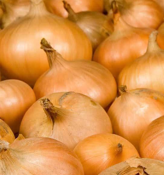 Organic Yellow Onion Seeds - Plantflix