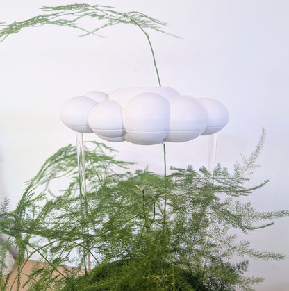 Original Dripping Rain Cloud- The Cloud Makers - Plantflix