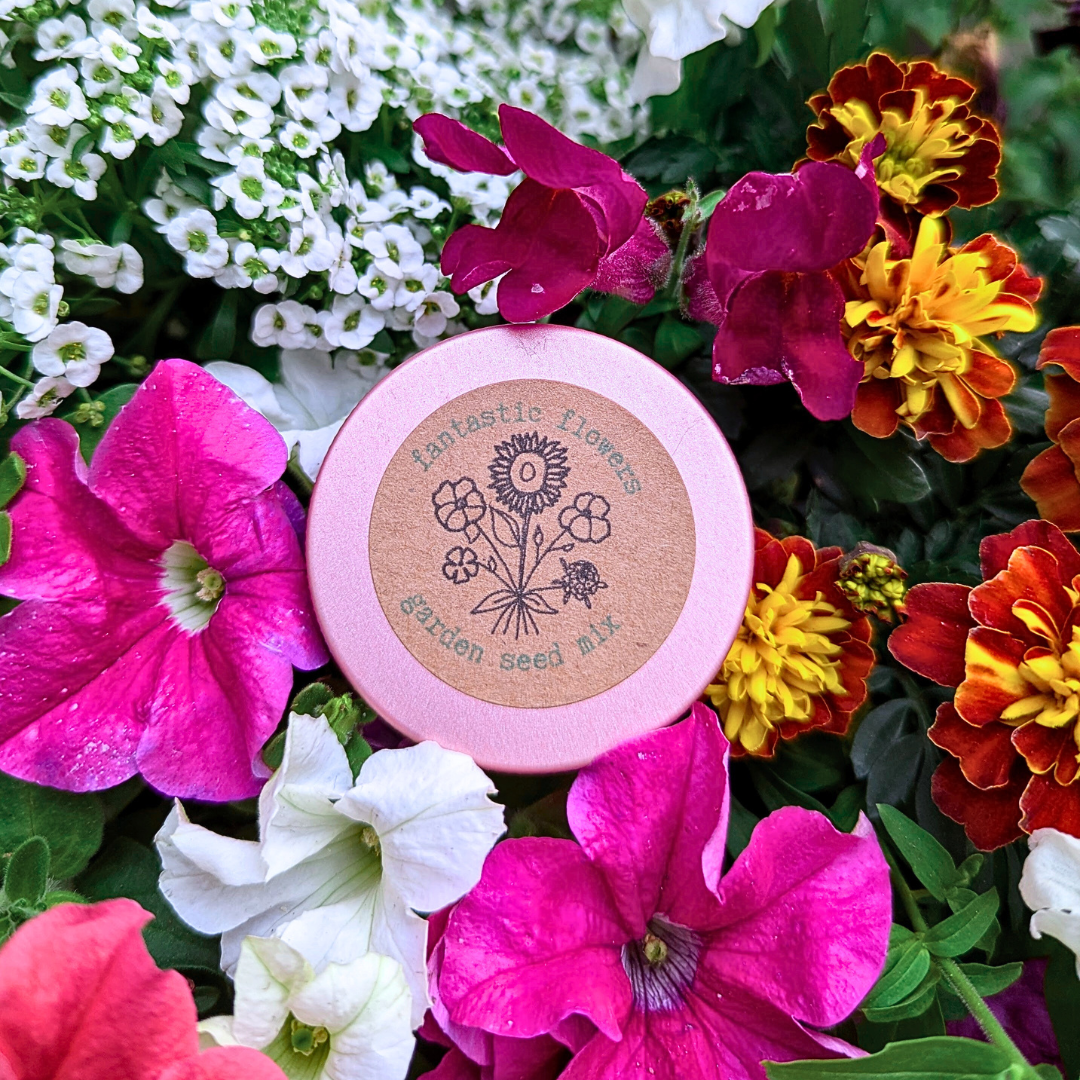 "Patio Flower Garden" Seed Mix - Plantflix