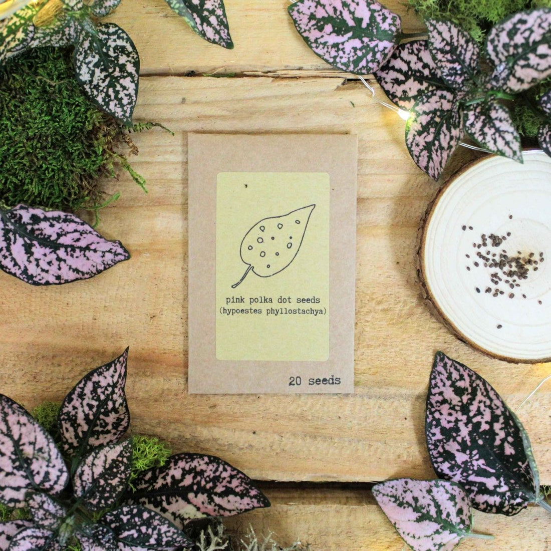 "Pet - Friendly" Houseplant Seed Collection - Plantflix