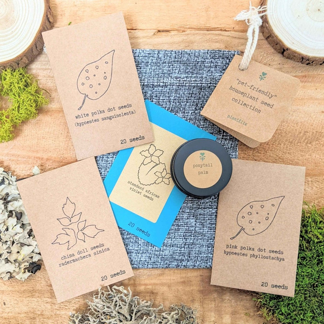 "Pet - Friendly" Houseplant Seed Collection - Plantflix