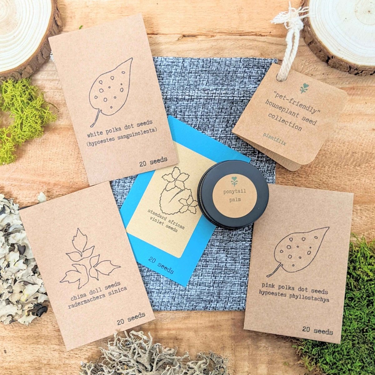 "Pet - Friendly" Houseplant Seed Collection - Plantflix