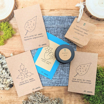 "Pet - Friendly" Houseplant Seed Collection - Plantflix