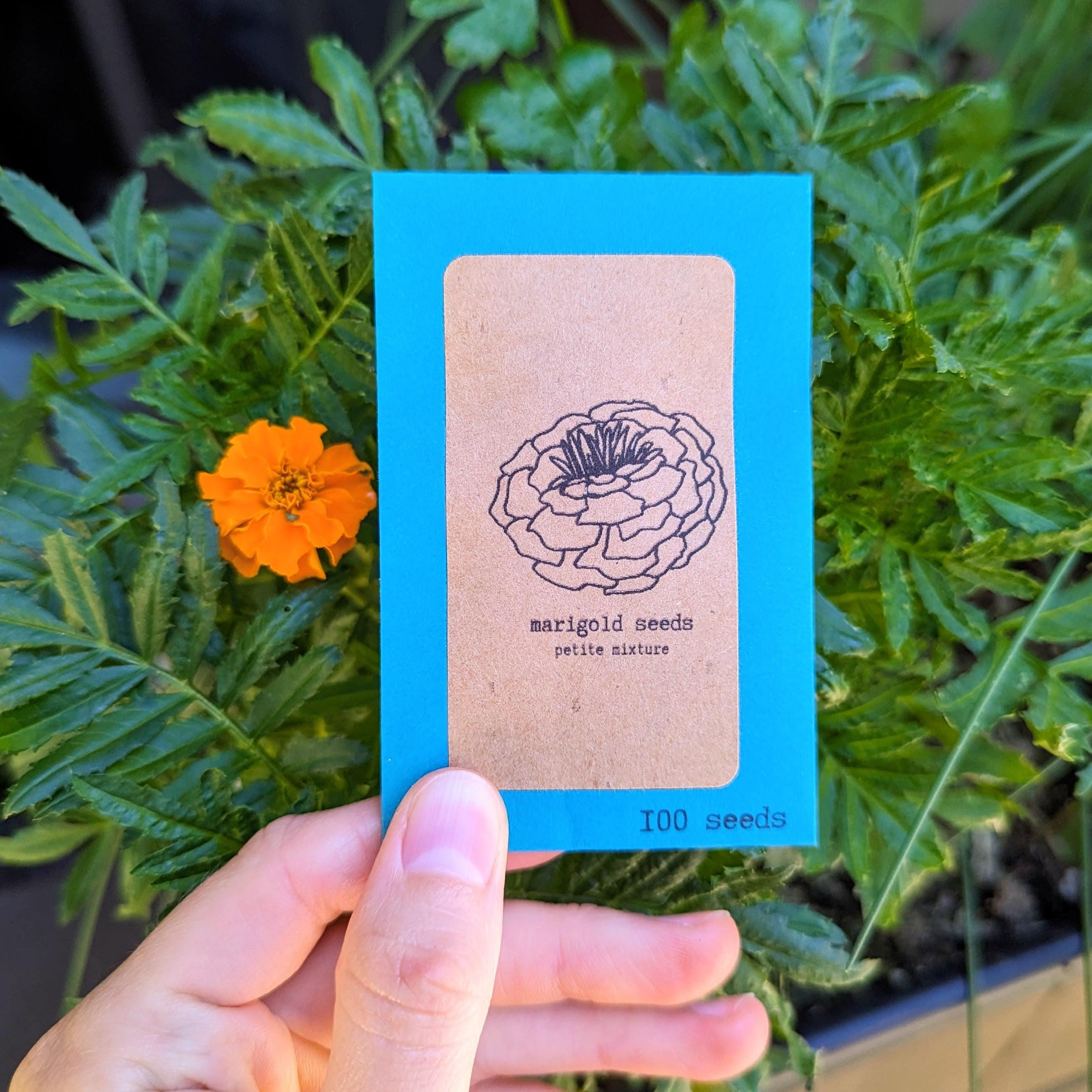 Petite Marigold Seeds - Plantflix