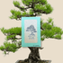 🎁 Pinus Thunbergii &
