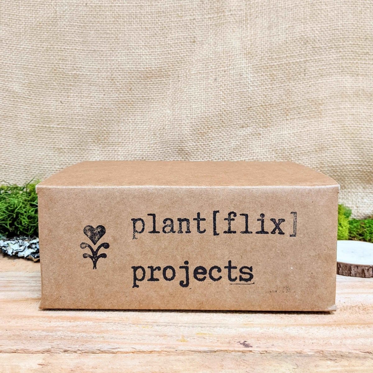 "Plant Projects" Home Garden Subscription Box - Plantflix