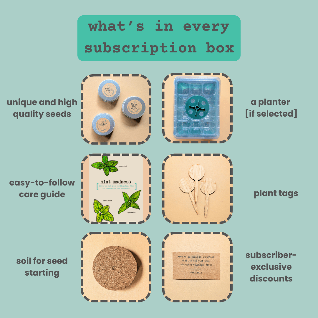 "Plant Projects" Home Garden Subscription Box - Plantflix