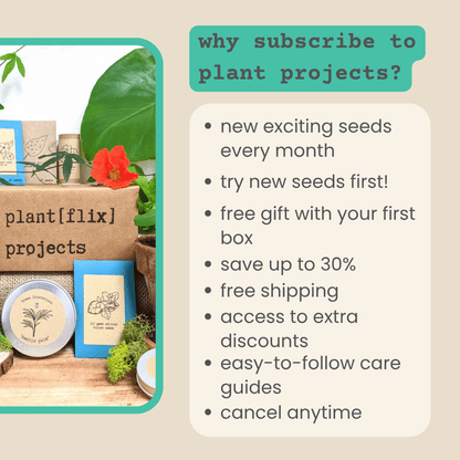 "Plant Projects" Home Garden Subscription Box - Plantflix