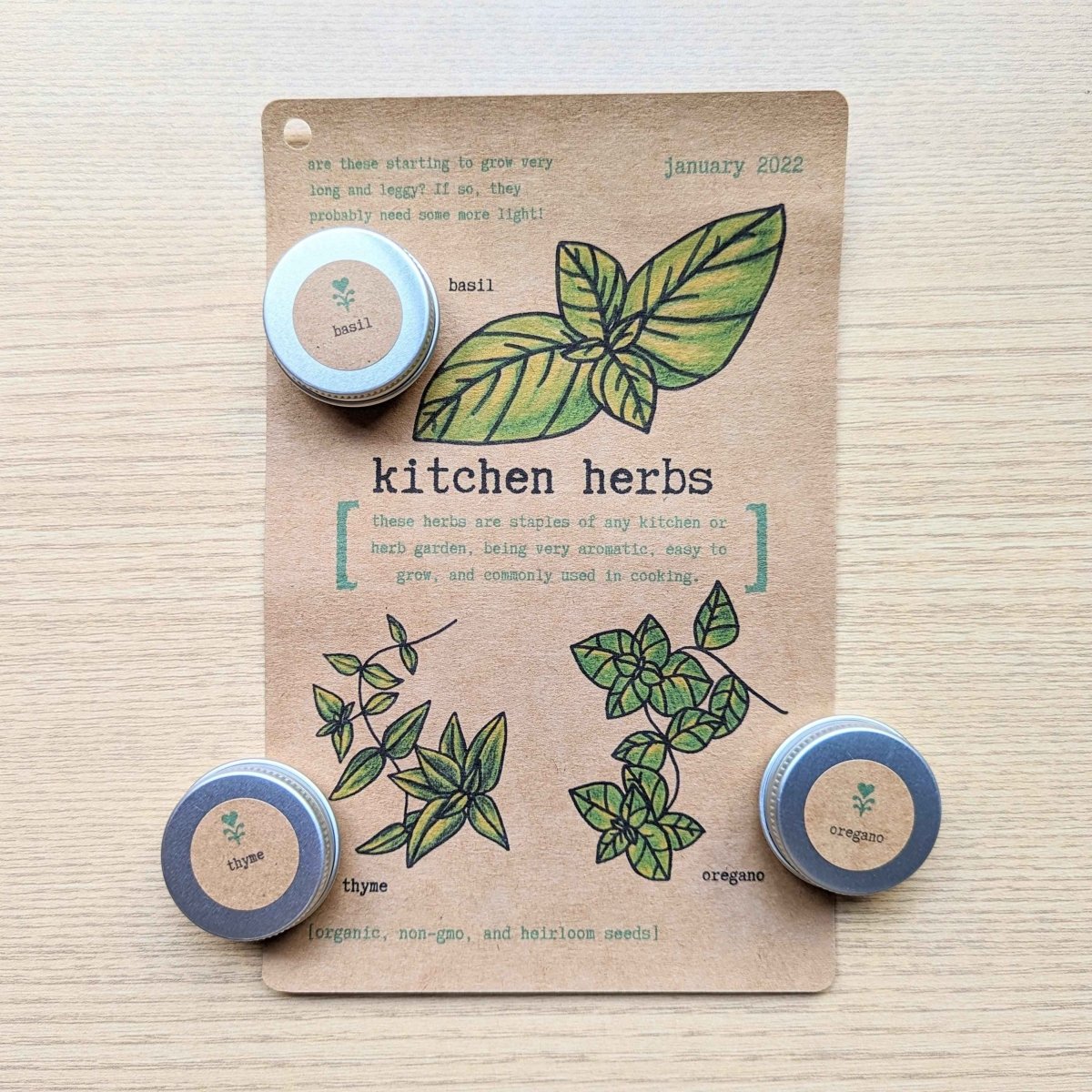 "Plant Projects" Home Garden Subscription Box - Plantflix