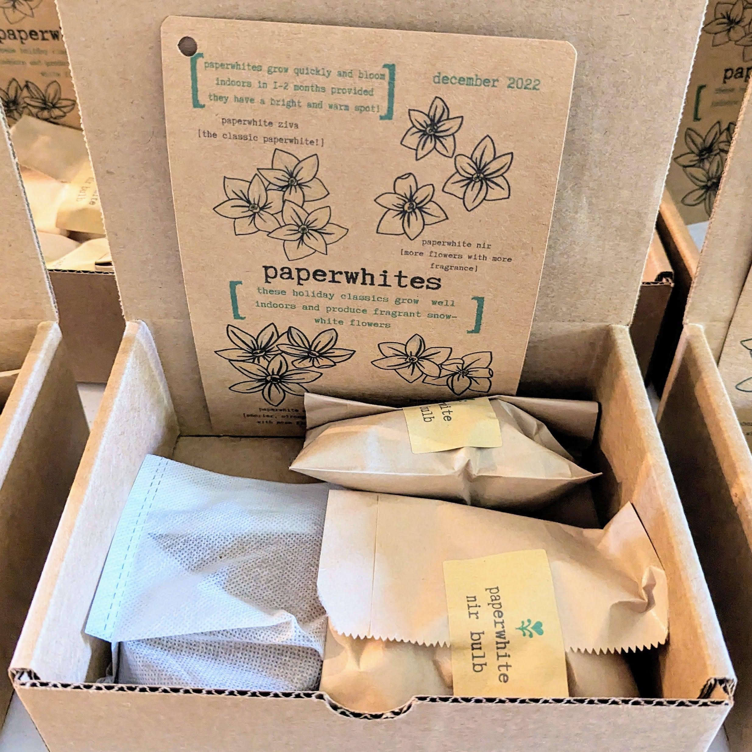 &quot;Plant Projects&quot; Home Garden Subscription Box - Plantflix