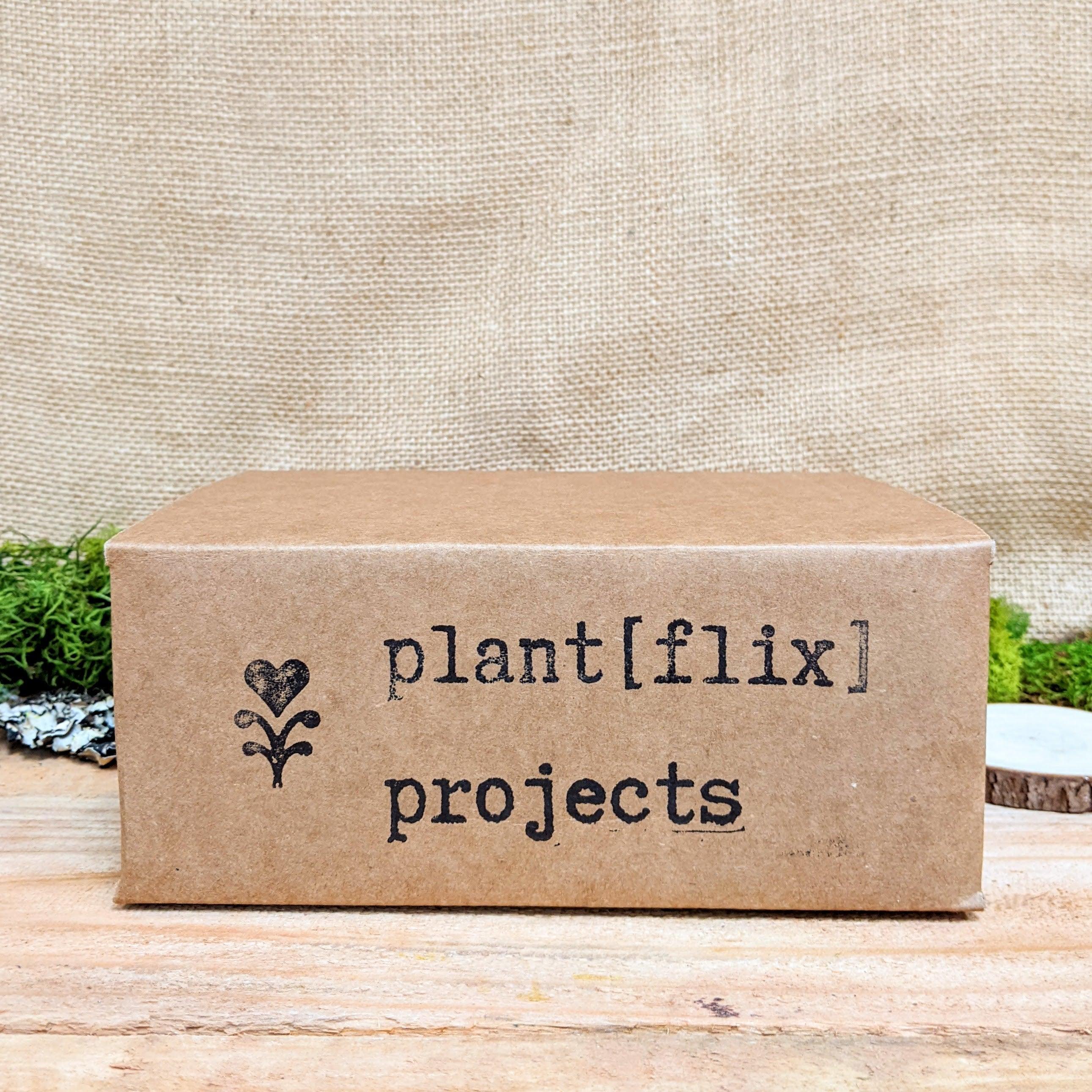 &quot;Plant Projects&quot; Home Garden Subscription Box - Plantflix