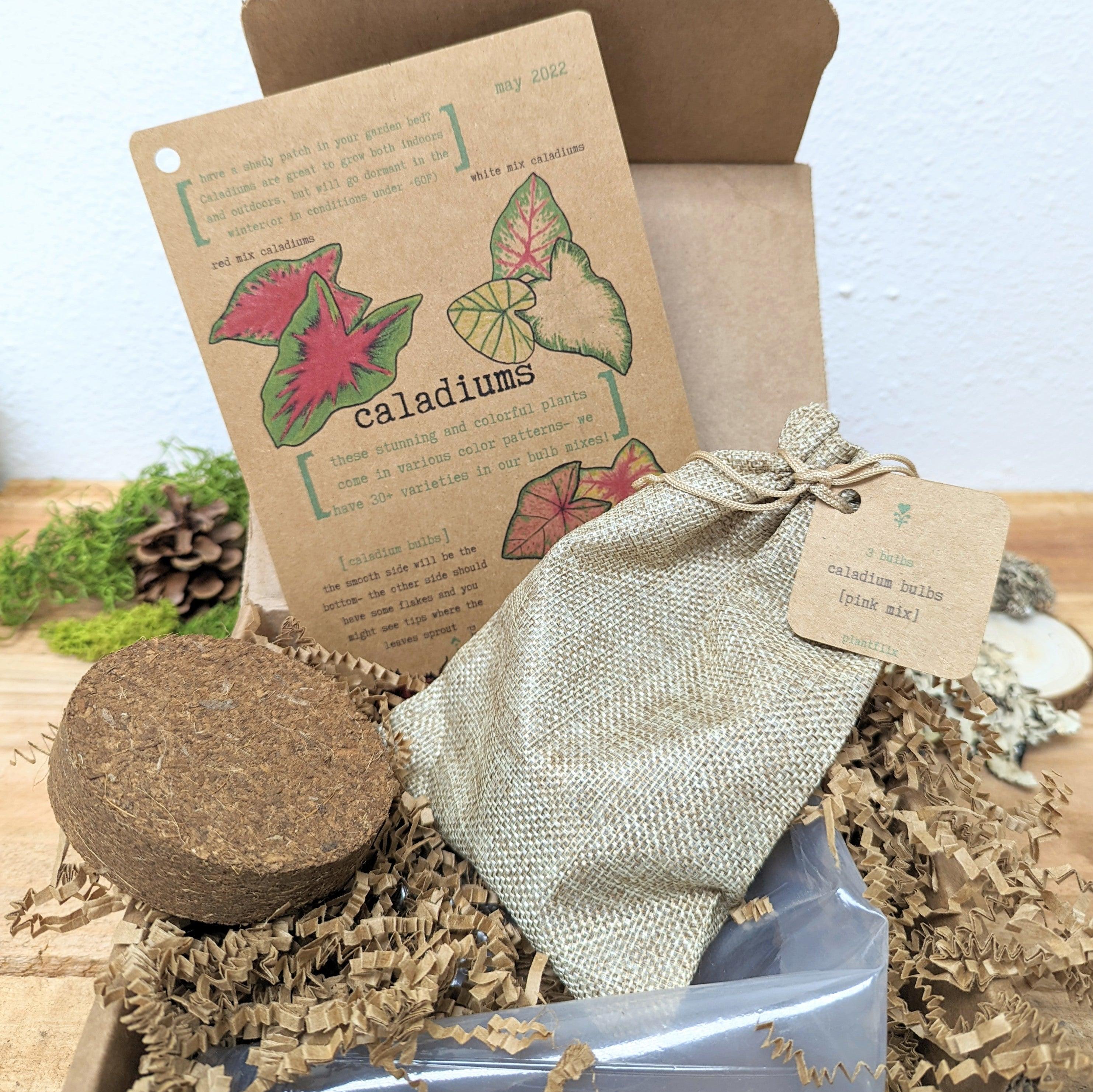 &quot;Plant Projects&quot; Home Garden Subscription Box - Plantflix