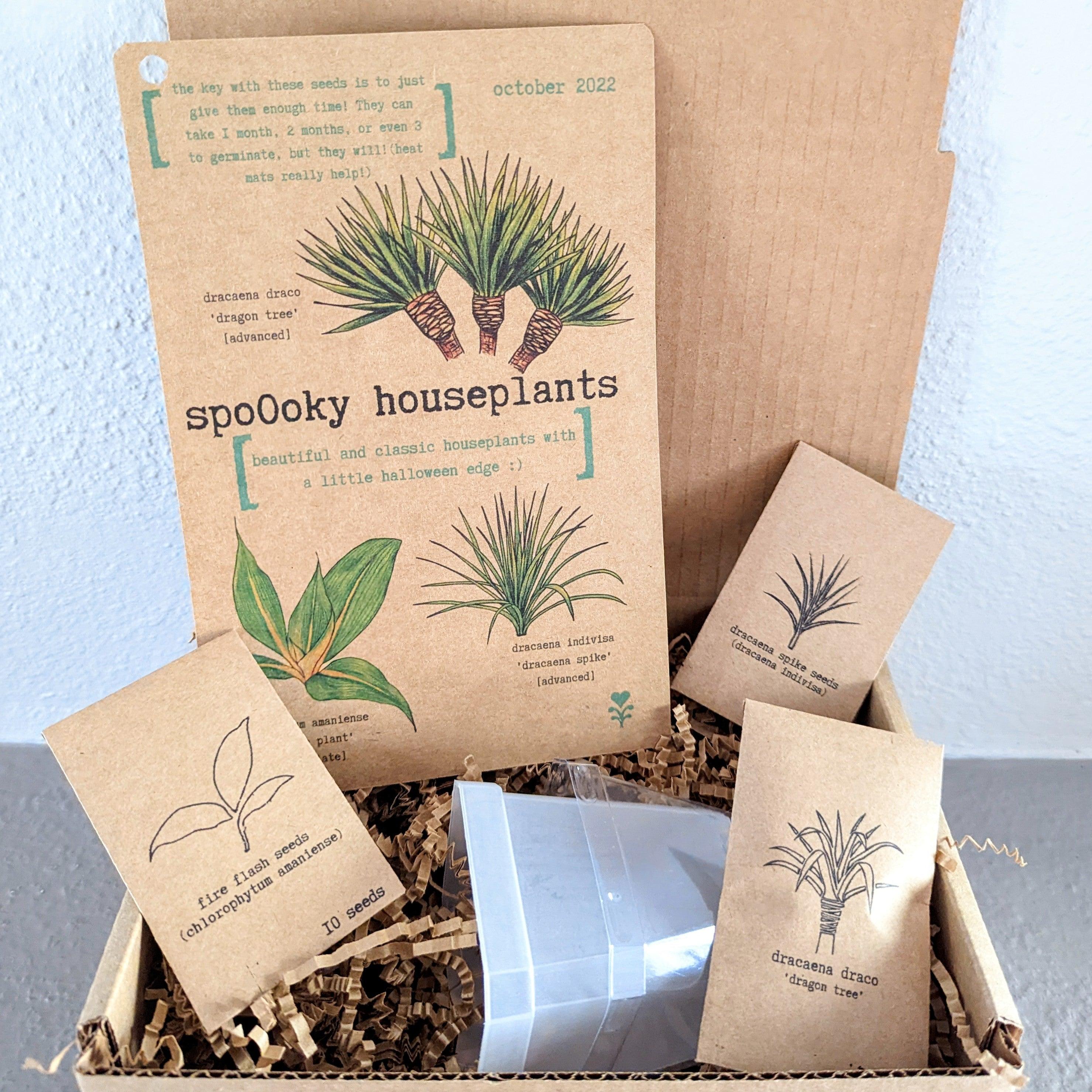 &quot;Plant Projects&quot; Home Garden Subscription Box - Plantflix