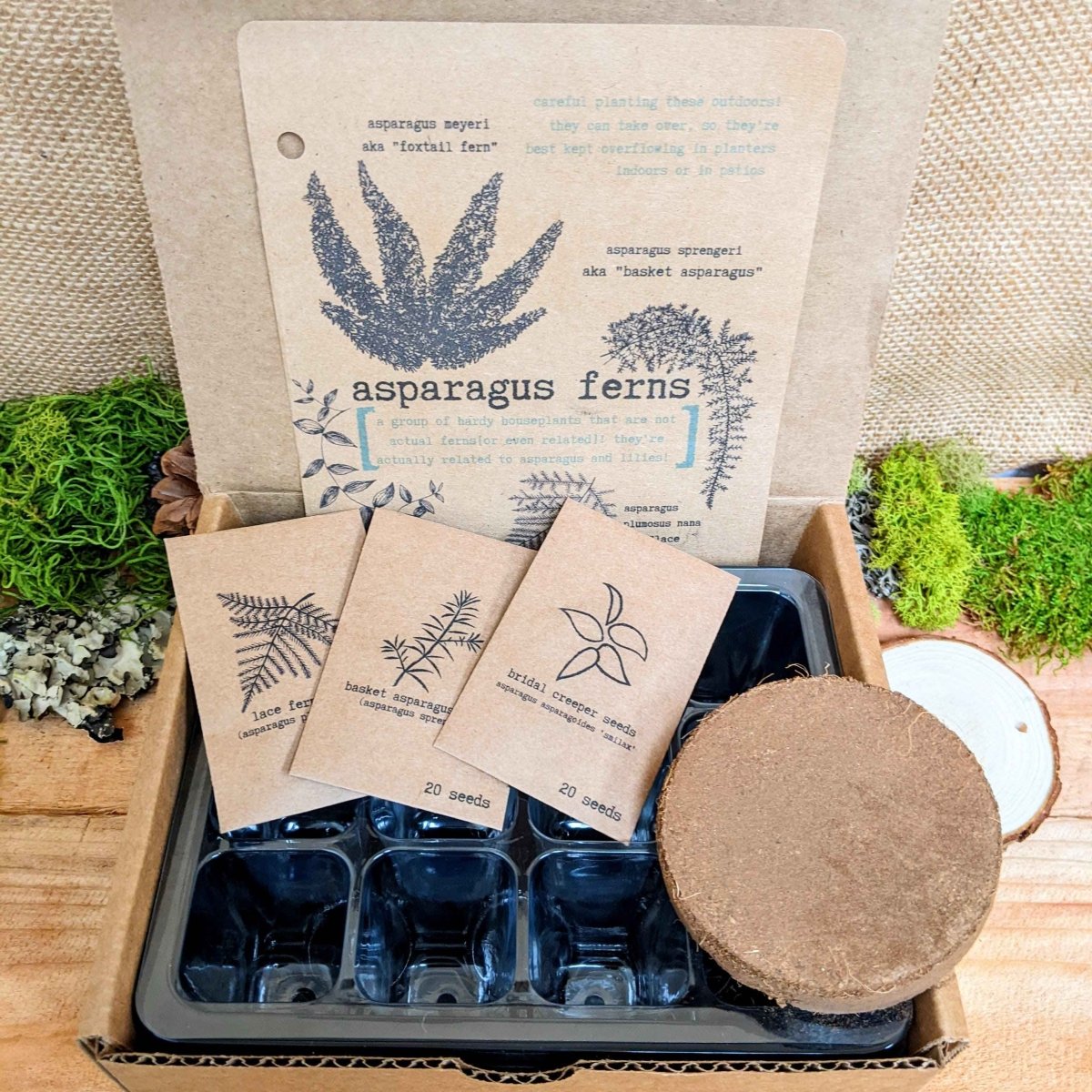 "Plant Projects" Ornamental Garden Subscription Box - Plantflix