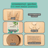 "Plant Projects" Ornamental Garden Subscription Box - Plantflix