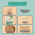 "Plant Projects" Ornamental Garden Subscription Box - Plantflix