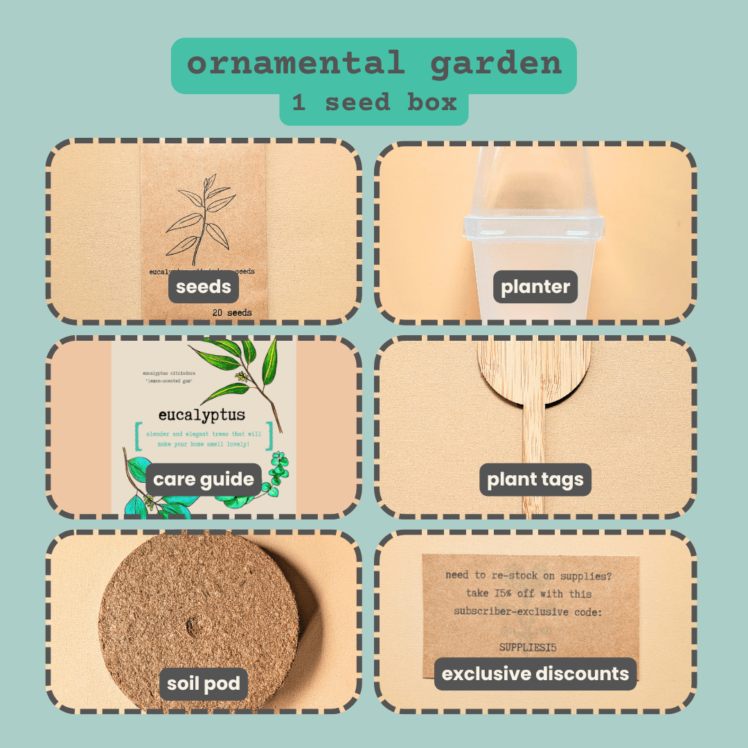 "Plant Projects" Ornamental Garden Subscription Box - Plantflix