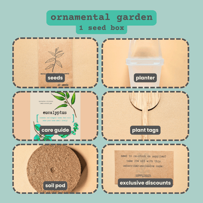 "Plant Projects" Ornamental Garden Subscription Box - Plantflix
