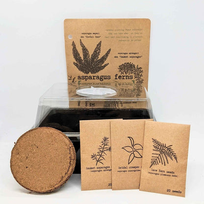"Plant Projects" Ornamental Garden Subscription Box - Plantflix