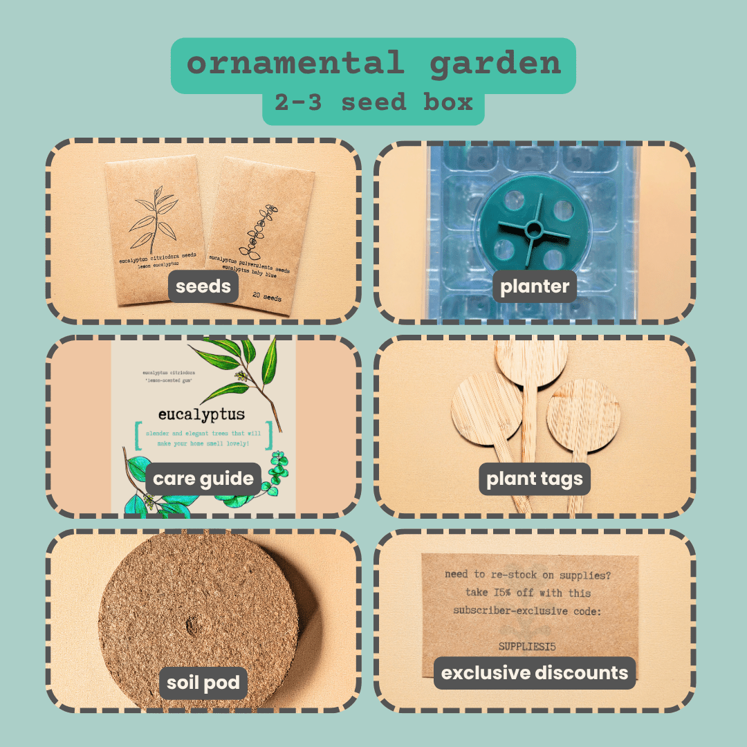 "Plant Projects" Ornamental Garden Subscription Box - Plantflix