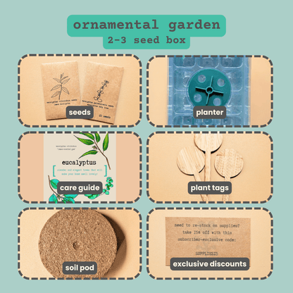 "Plant Projects" Ornamental Garden Subscription Box - Plantflix