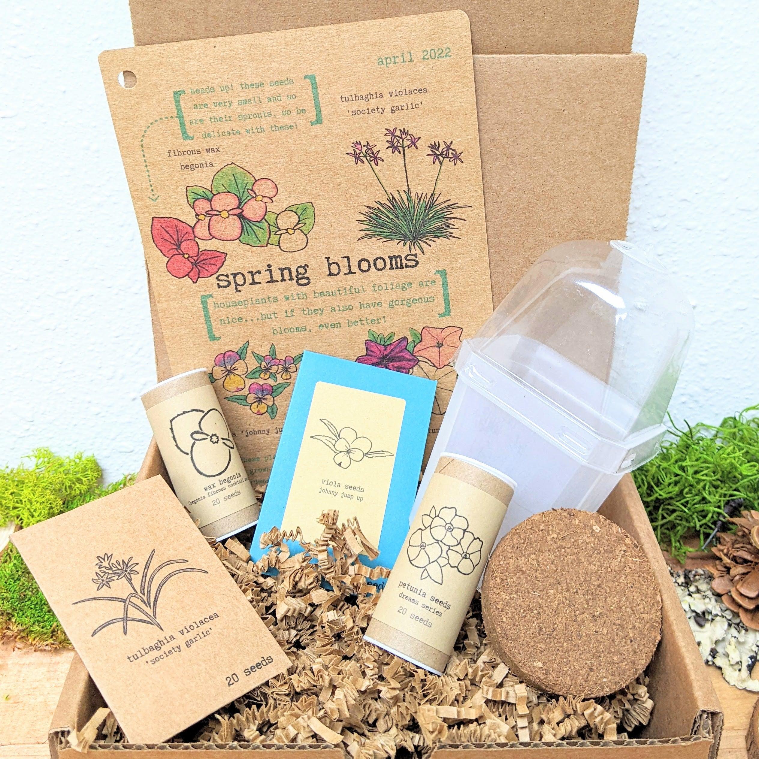 &quot;Plant Projects&quot; Ornamental Garden Subscription Box - Plantflix