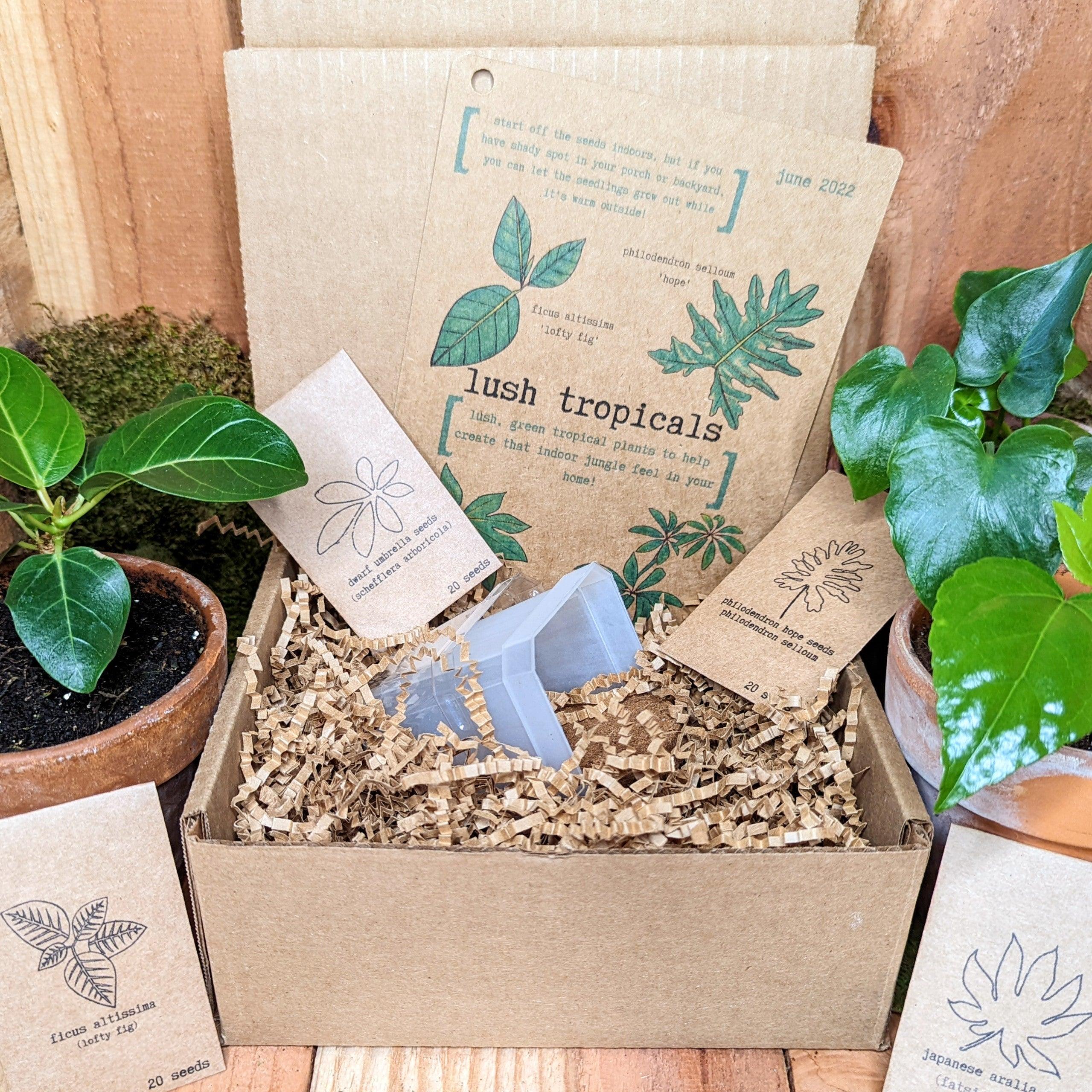 &quot;Plant Projects&quot; Ornamental Garden Subscription Box - Plantflix