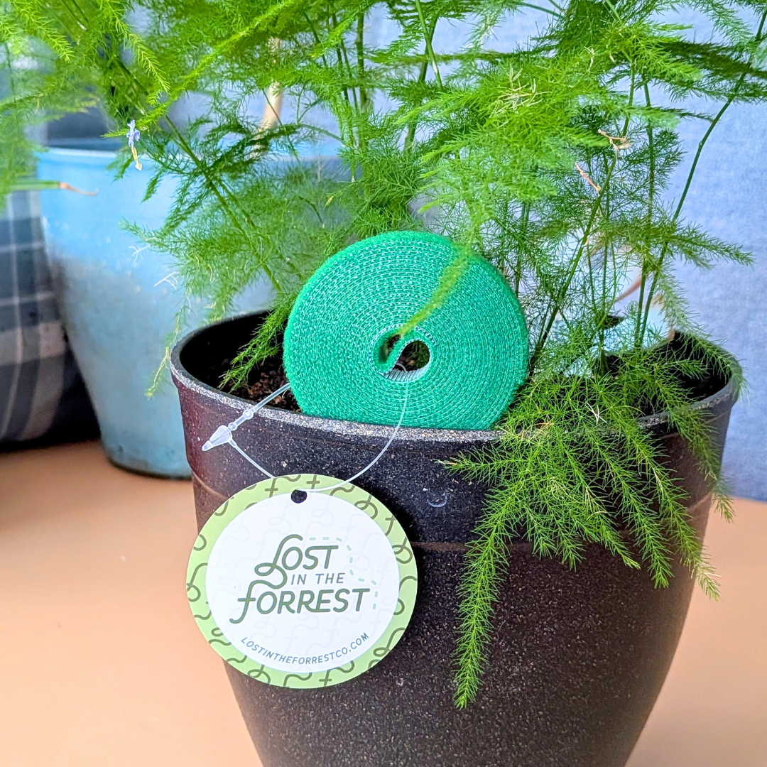 Plant Tape - Lost in the Forrest - Plantflix