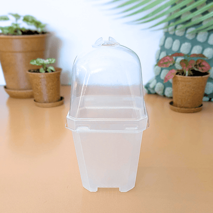 plastic containers for plants Planter with Humidity Dome – Plantflix