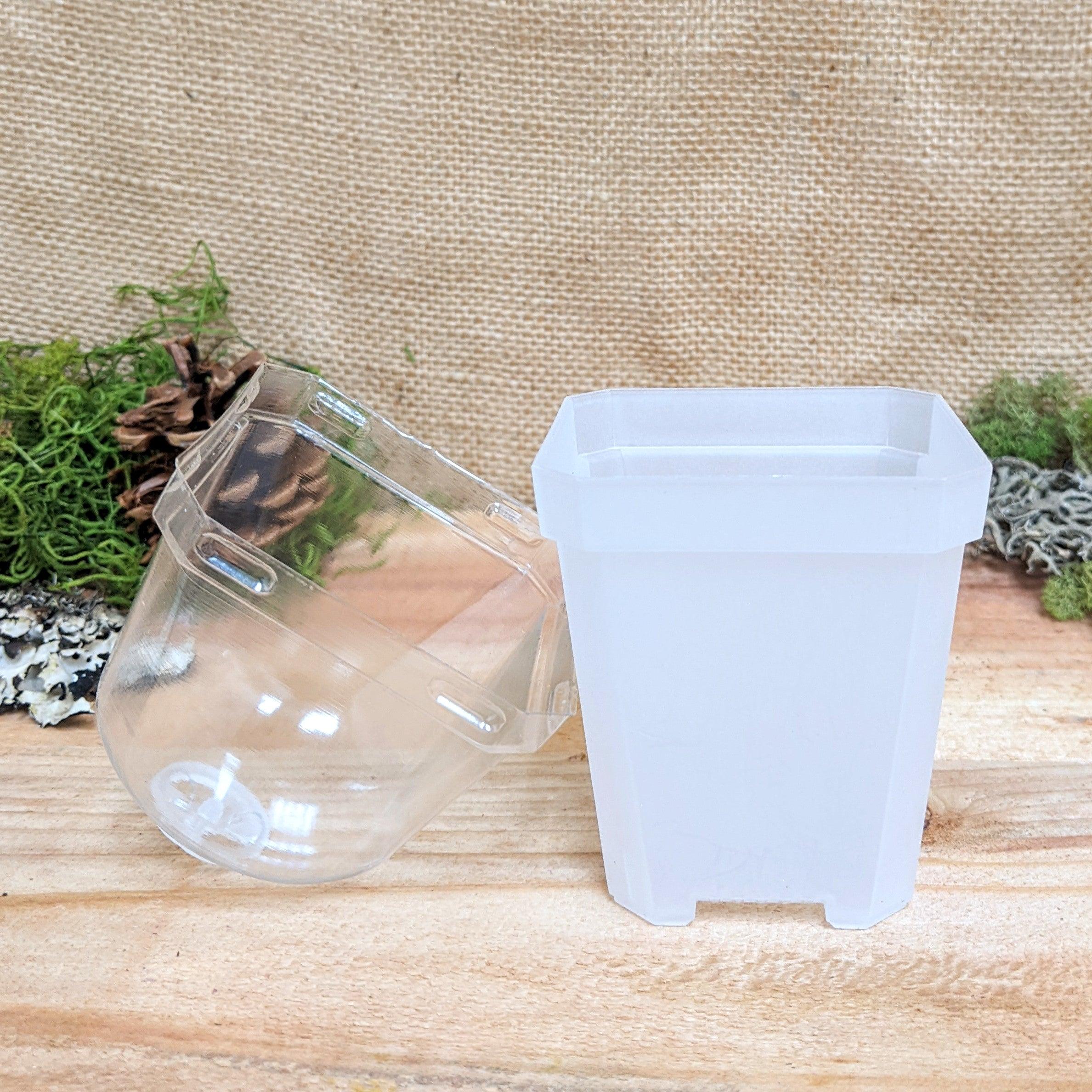 Planter with Humidity Dome - Plantflix