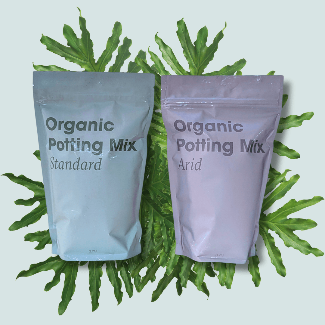 Potting Mix - Rooted - Plantflix