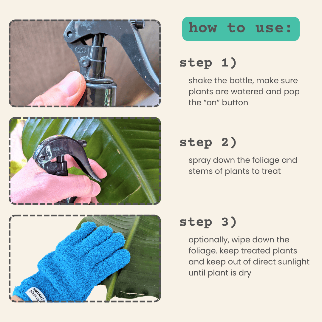 Protect Spray with Neem - We the Wild - Plantflix