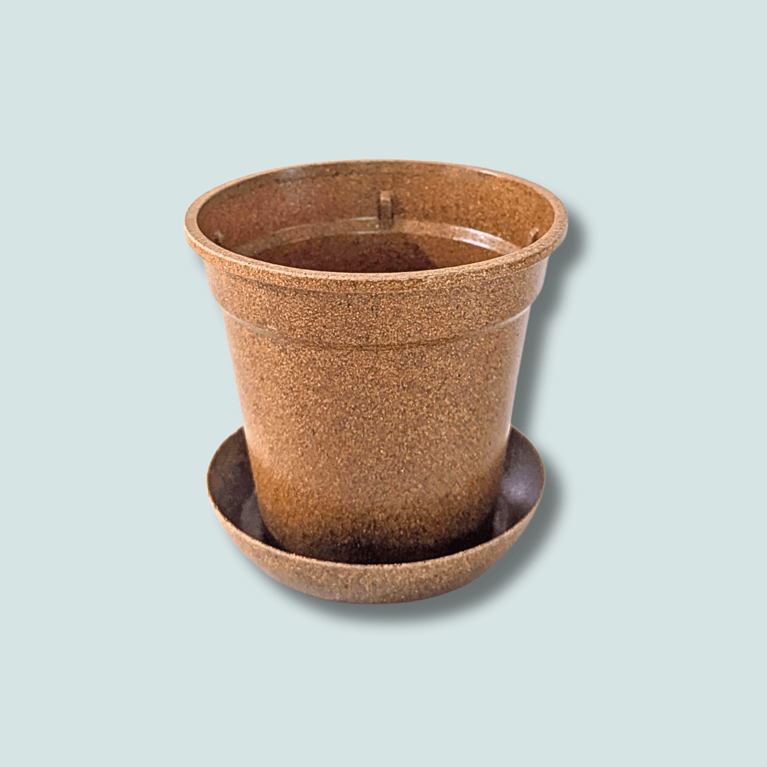 Rice Hull Nursery Planter - Long Lasting Biodegradable Planters - Plantflix