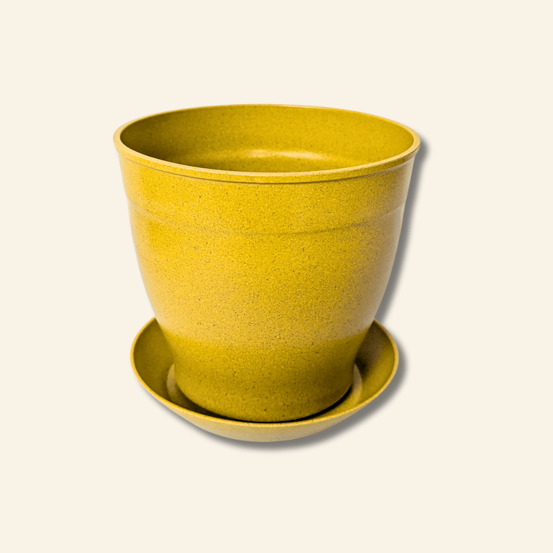 Rice Hull Planter - Long Lasting Biodegradable Planters - Plantflix