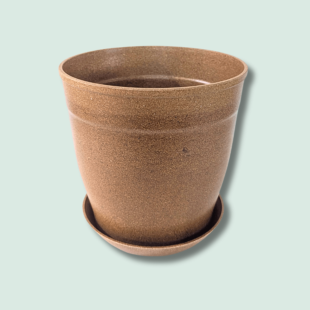 Rice Hull Planter - Long Lasting Biodegradable Planters - Plantflix