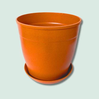 Rice Hull Planter - Long Lasting Biodegradable Planters - Plantflix