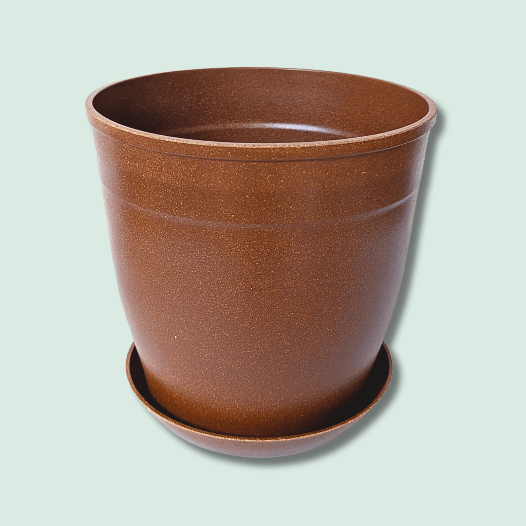 Rice Hull Planter - Long Lasting Biodegradable Planters - Plantflix