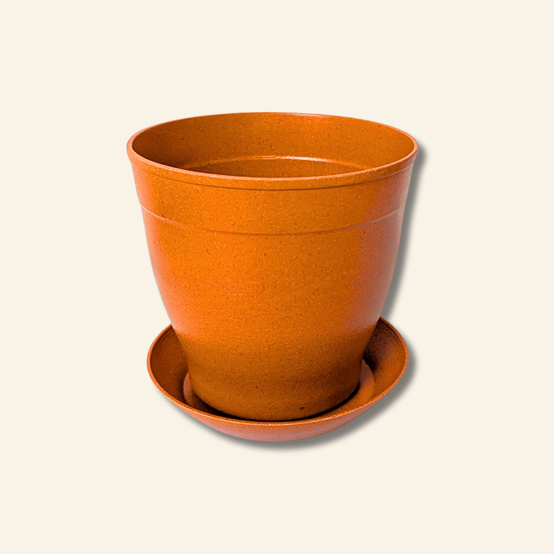 Rice Hull Planter - Long Lasting Biodegradable Planters - Plantflix