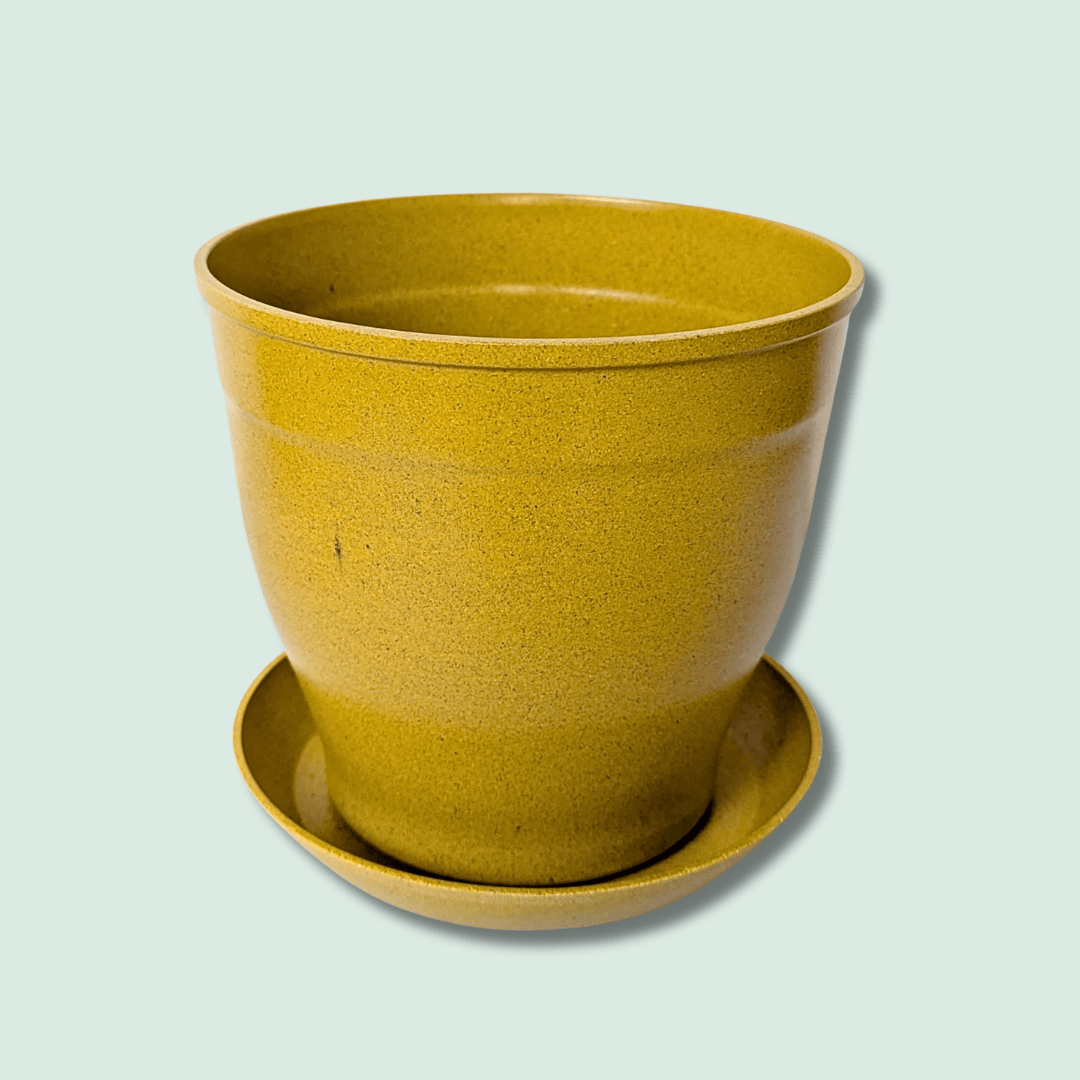 Rice Hull Planter - Long Lasting Biodegradable Planters - Plantflix