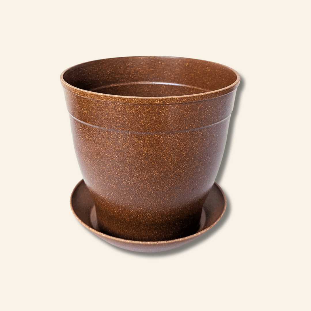 Rice Hull Planter - Long Lasting Biodegradable Planters - Plantflix