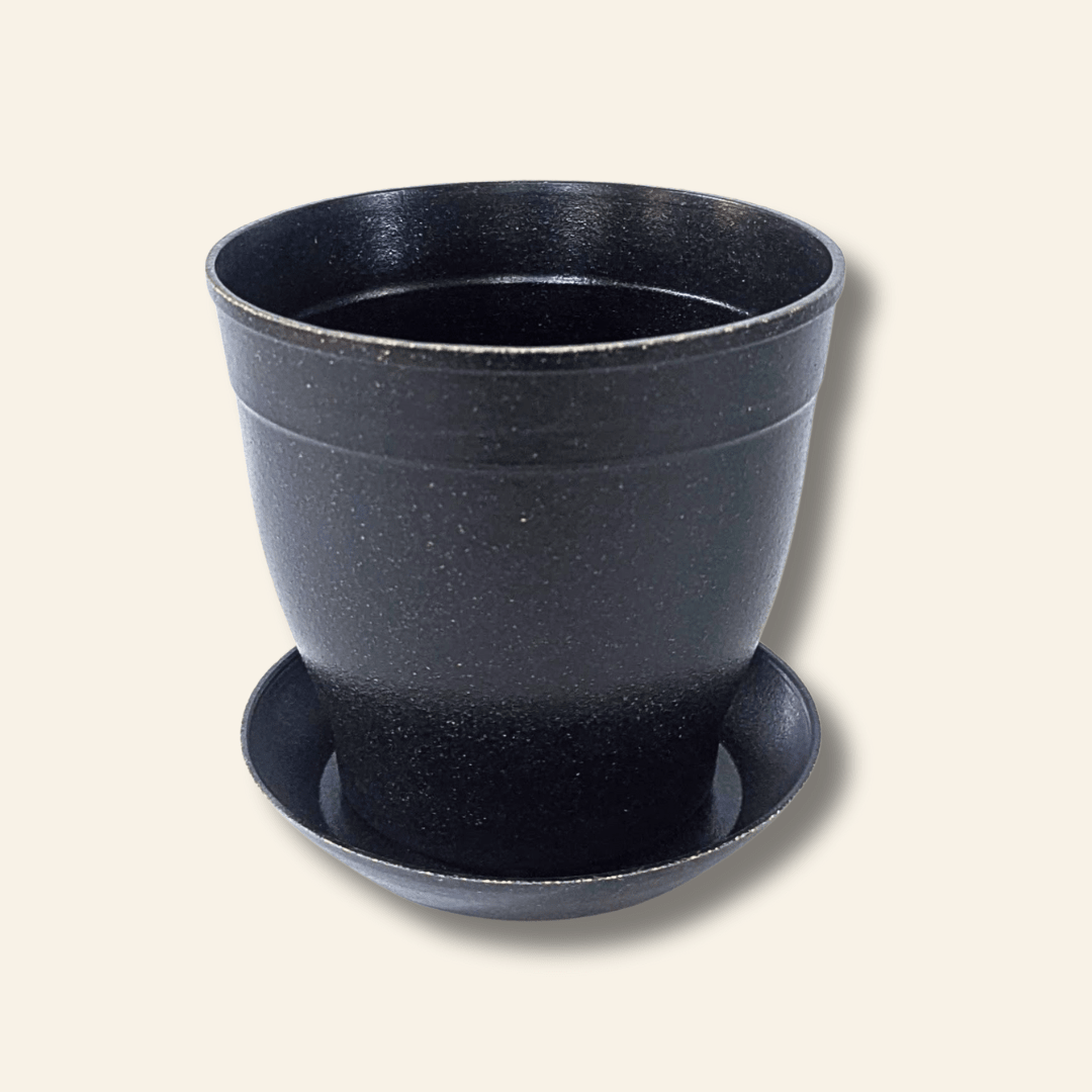 Rice Hull Planter - Long Lasting Biodegradable Planters - Plantflix