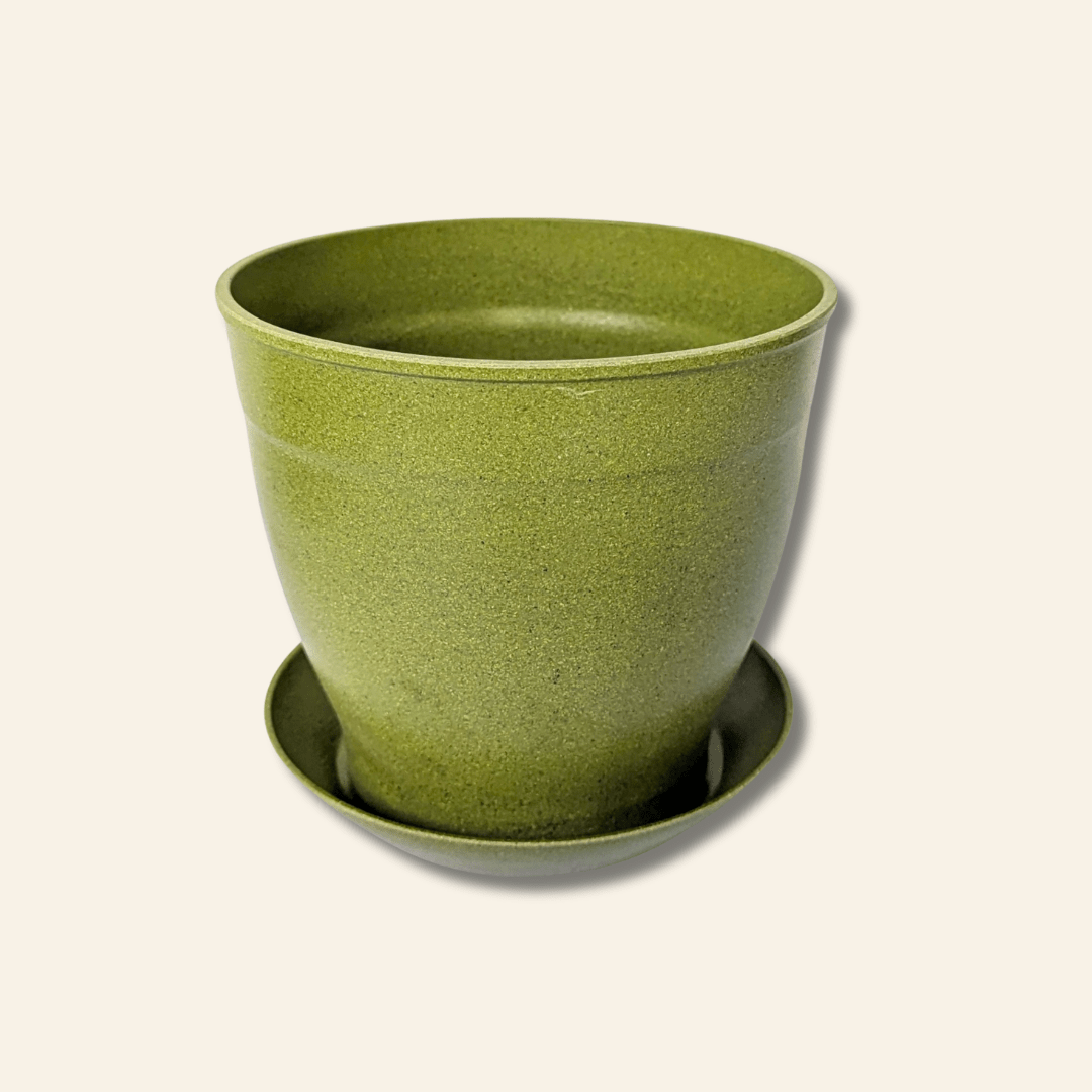 Rice Hull Planter - Long Lasting Biodegradable Planters - Plantflix