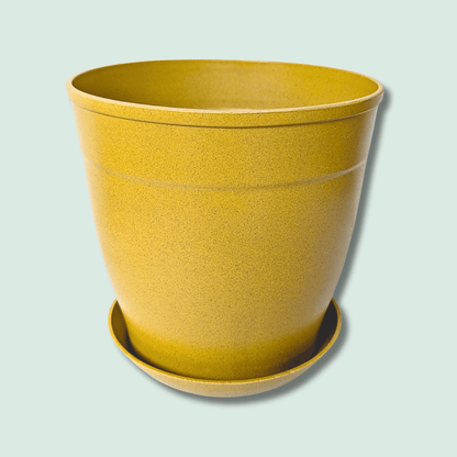 Rice Hull Planter - Long Lasting Biodegradable Planters - Plantflix