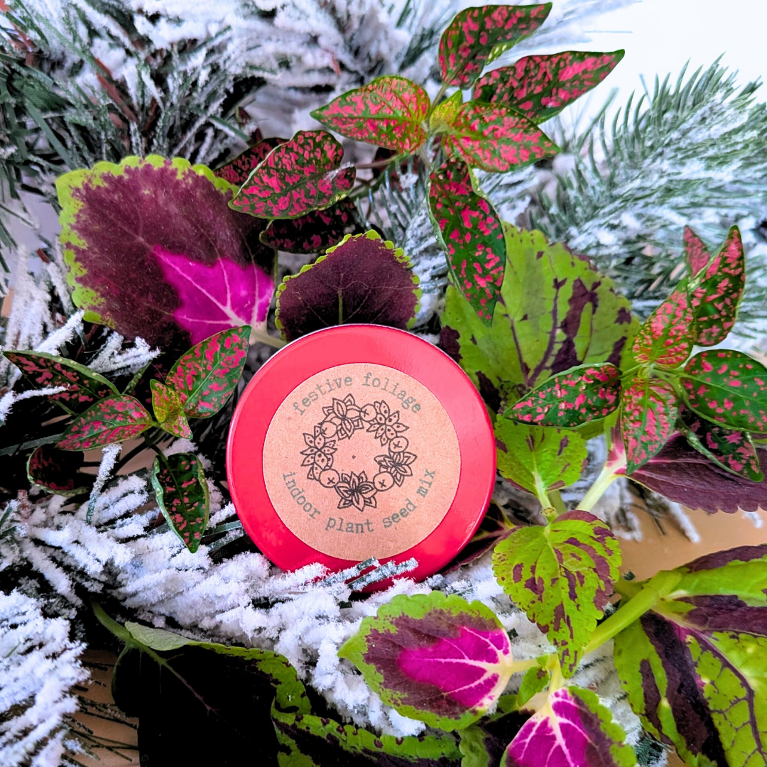 &quot;Festive Foliage&quot; Seed Mix