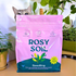 Rosy Soil Potting Mix