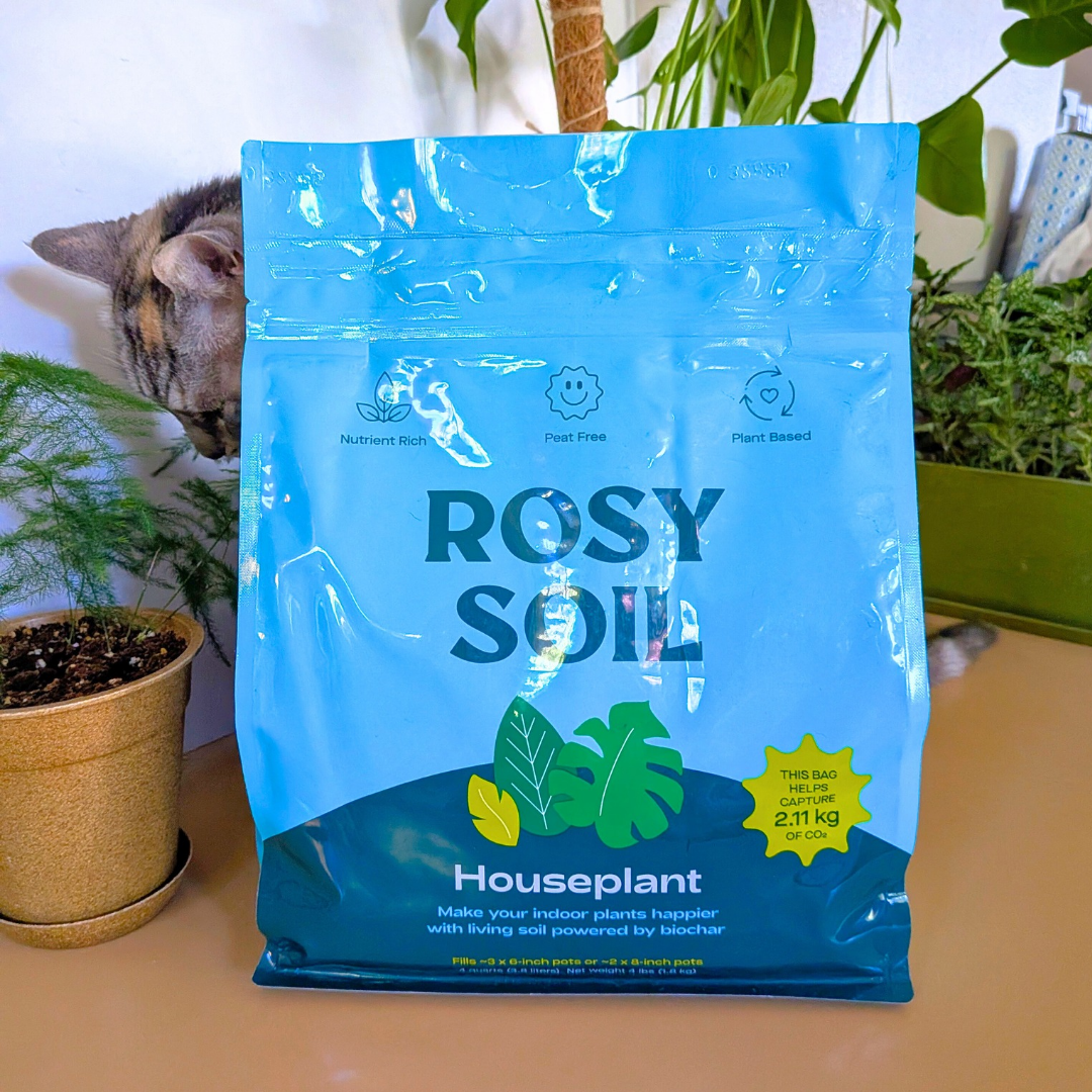 Rosy Soil Potting Mix - Plantflix