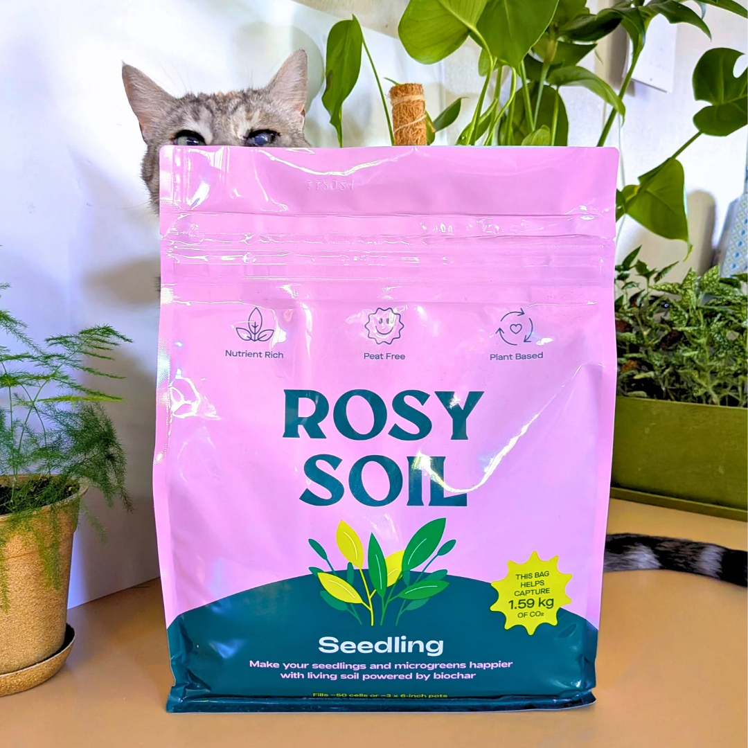 Rosy Soil Potting Mix - Plantflix
