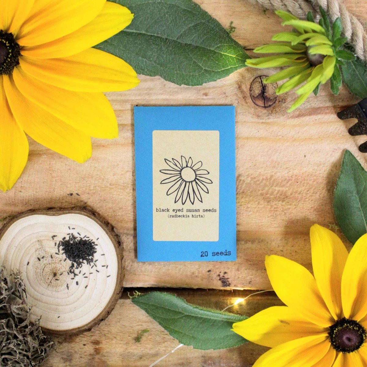 Rudbeckia Hirta "Black Eyed Susan" Seeds - Plantflix