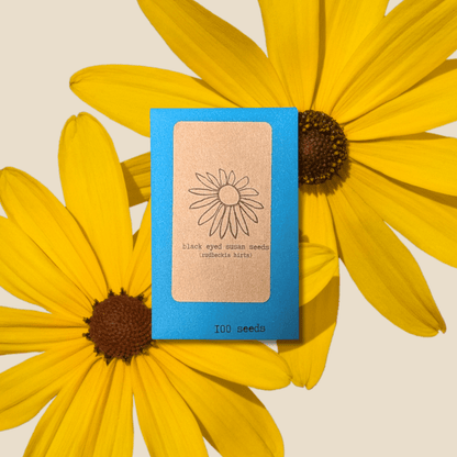 Rudbeckia Hirta "Black Eyed Susan" Seeds - Plantflix